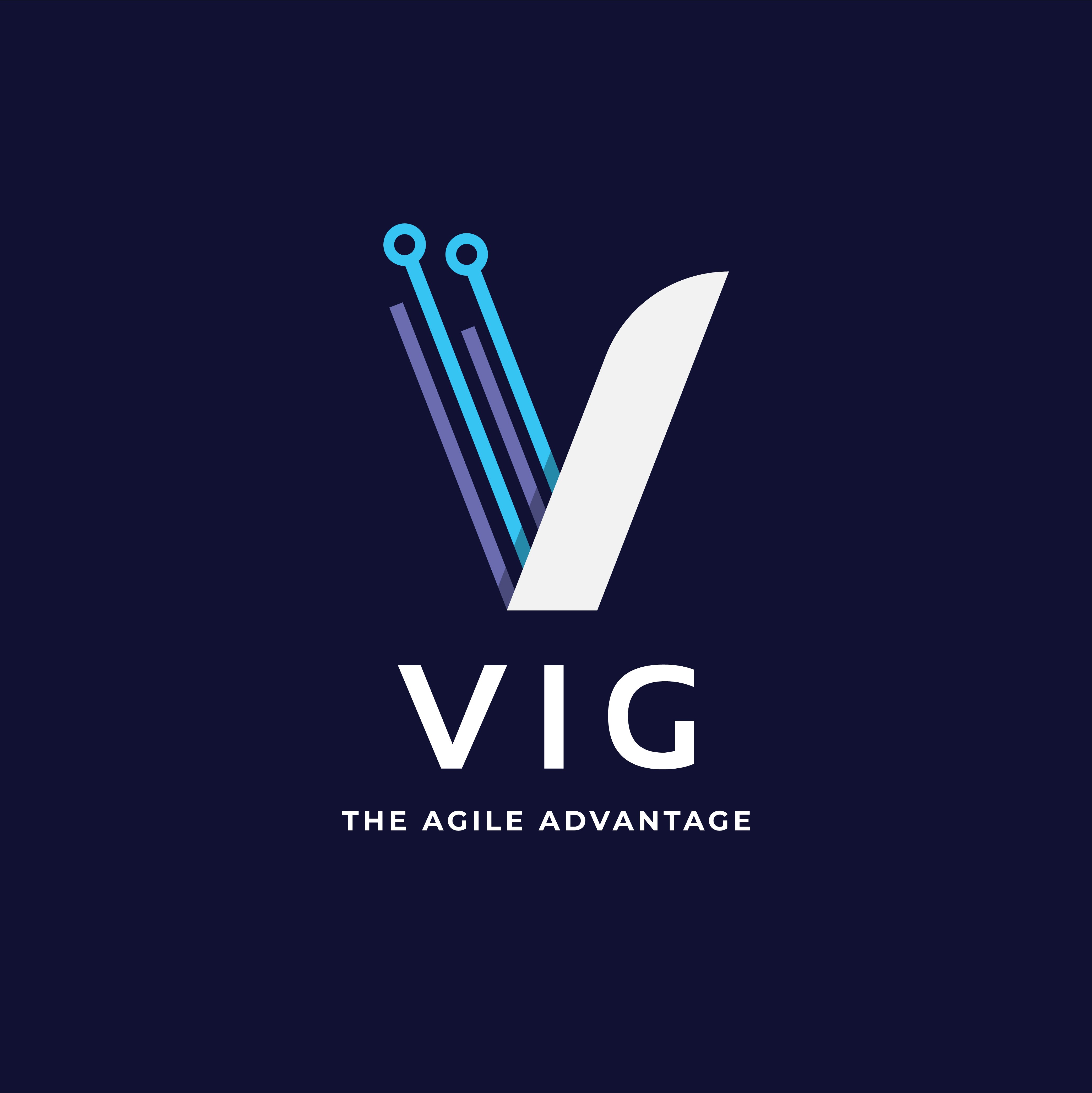 Vig Logo Final-01